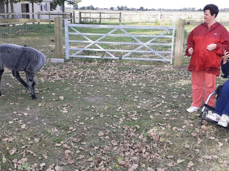 bij de dieren