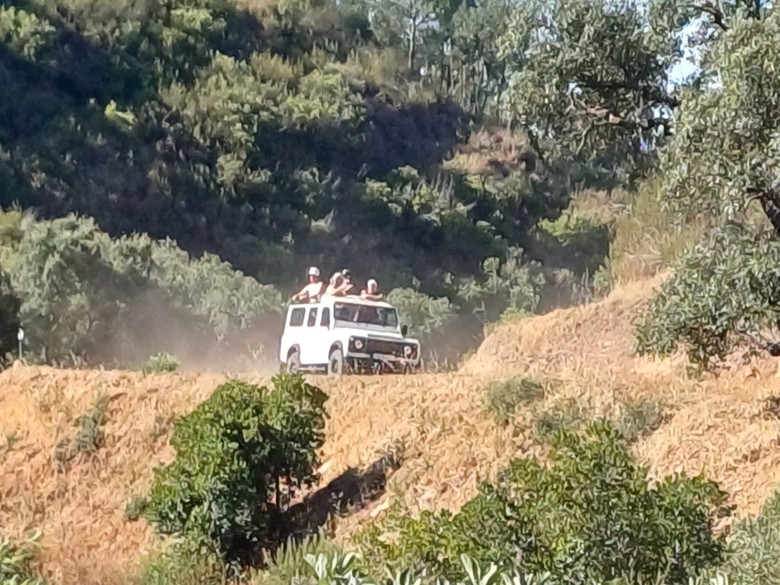 IMG-20240819-WA0081