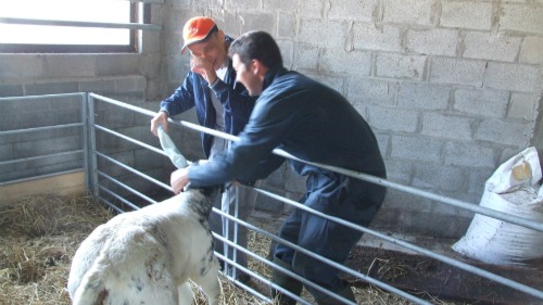 aan de zee: boerderijvakantie 