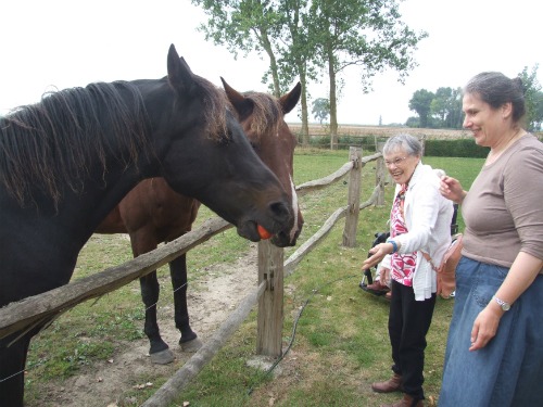 contact met dieren 