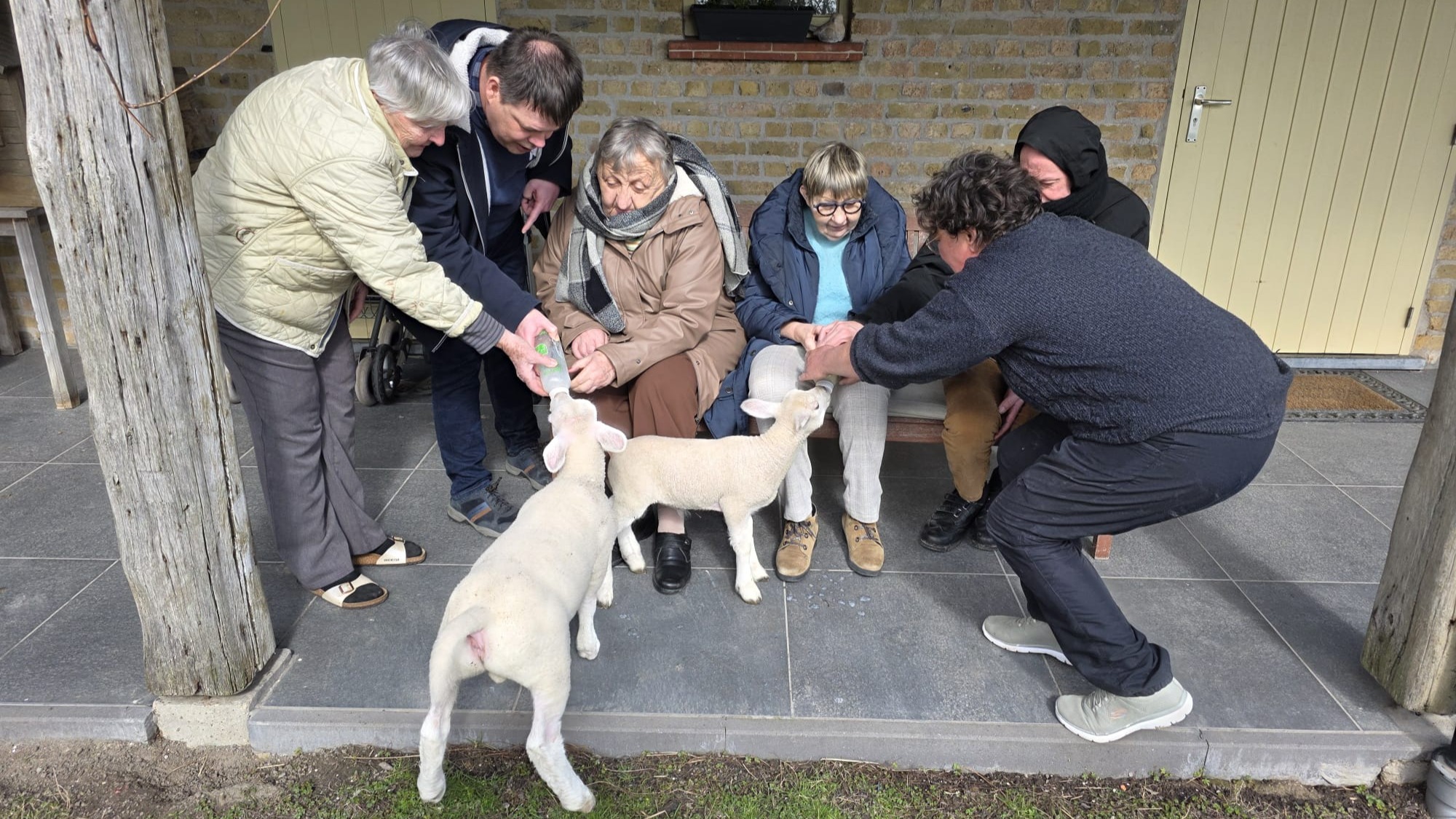 aan de zee: WM boerderij en natuur